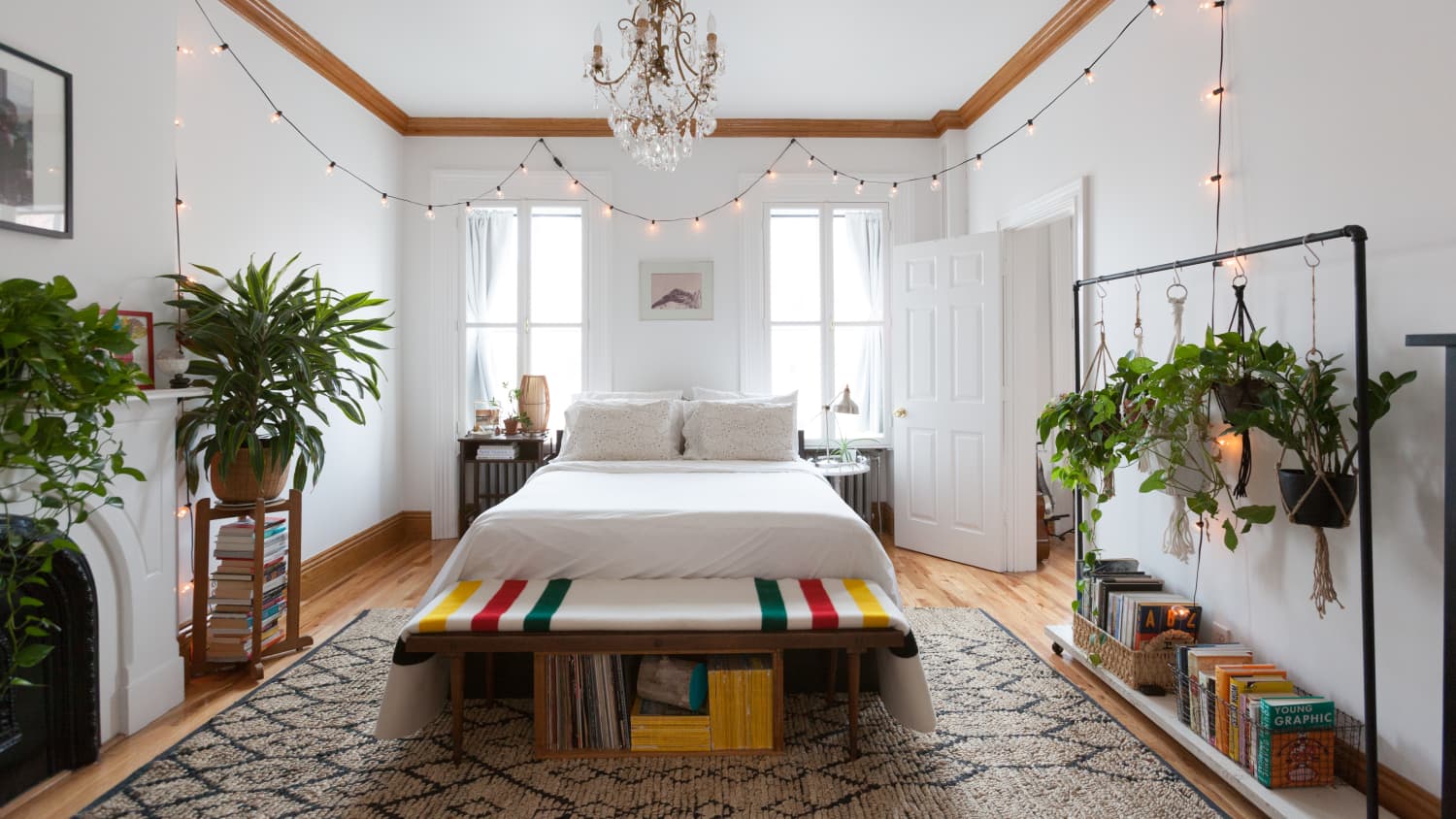 How to decorate with plants cheap